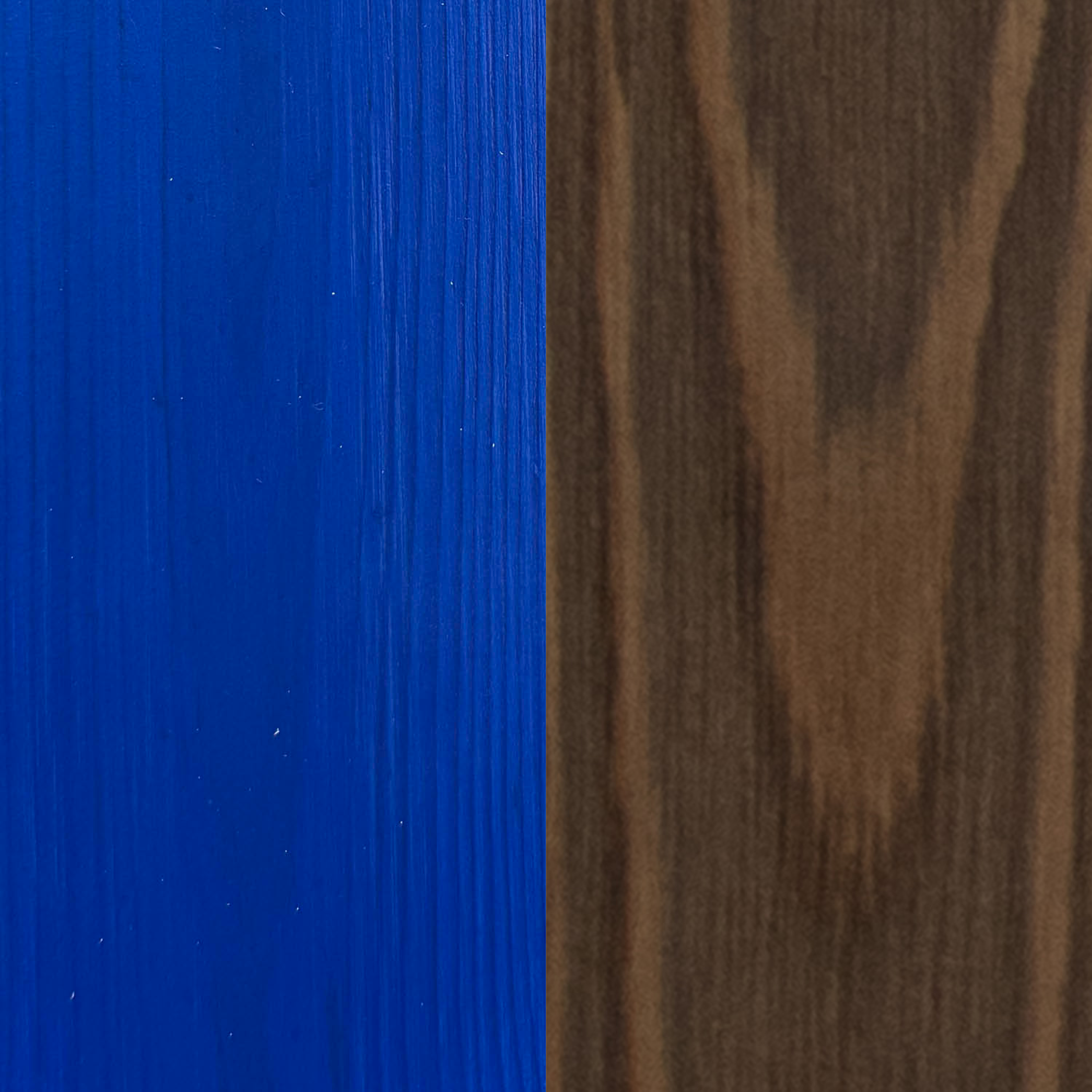 106 Carob Brown / 407 Vivid Blue